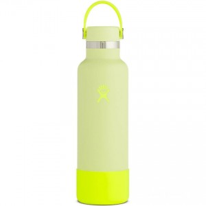 Hydro Flask 21oz Standard Mouth Water Bottle Prism Pop Lemonade for Sale