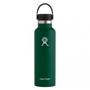 Hydro Flask 21oz Standard Mouth Water Bottle Sage Discount