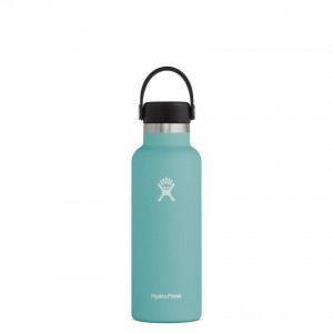 Hydro Flask 18oz Standard Mouth Water Bottle Alpine Discount